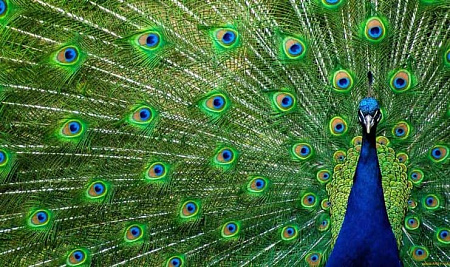 Фотографии санаторий Айвазовское