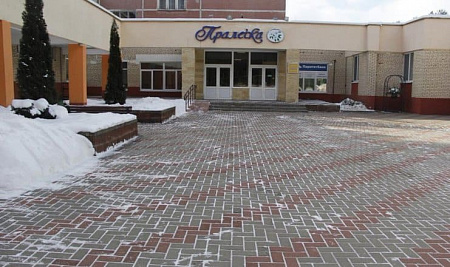 Пралеска - фото