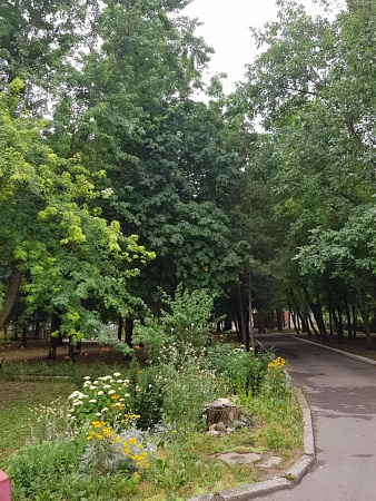 Фотографии санатория Лесная поляна