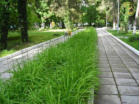 Фотографии пансионата Энергентик