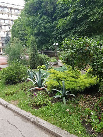 Фотографии санатория Лесная поляна