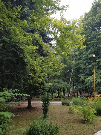 Фотографии санатория Лесная поляна