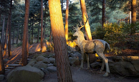 Фотографии санаторий Айвазовское