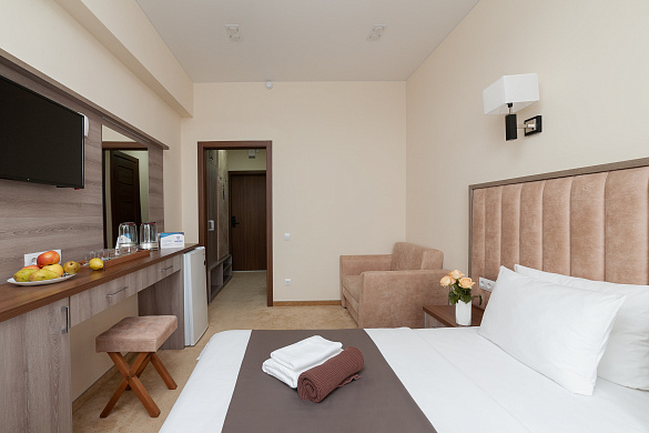 Фотография номера премиум 2-местный 1-комнатный
