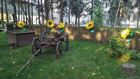 Фотографии санатория Металлург