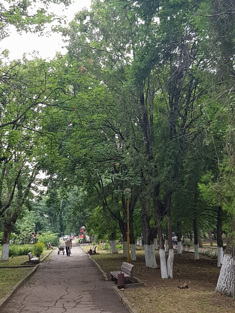 Фотографии санатория Лесная поляна