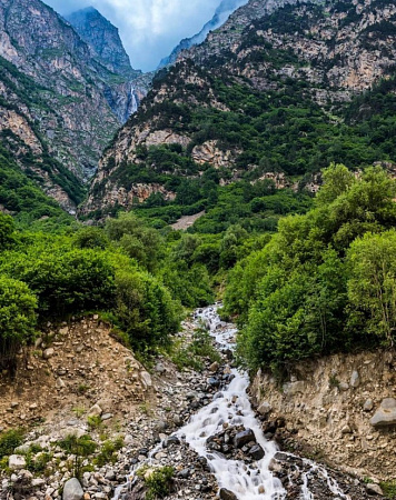 Фото отеля Синдика