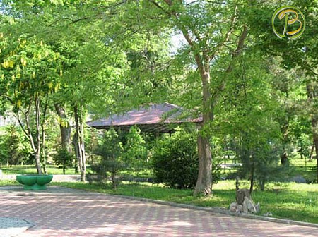 Фотографии пансионата Южный